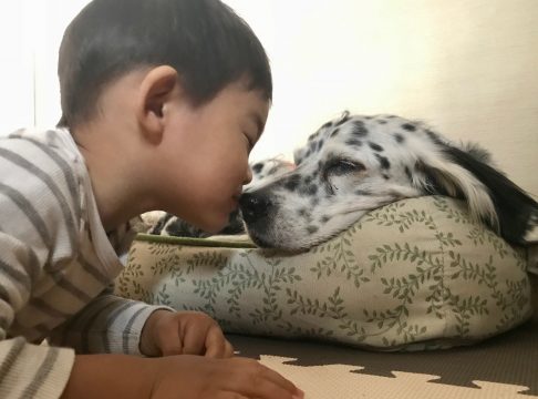 魔の2歳児のキス